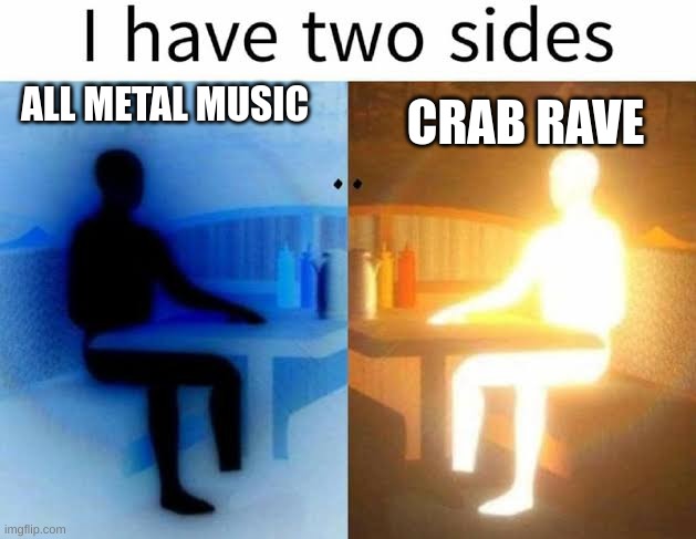 Wish school email wouldn't block verification | ALL METAL MUSIC; CRAB RAVE | image tagged in i have two sides,crab rave,metalhead,i like,music | made w/ Imgflip meme maker
