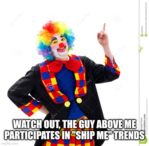 Idk | WATCH OUT, THE GUY ABOVE ME PARTICIPATES IN "SHIP ME" TRENDS | image tagged in pie charts | made w/ Imgflip meme maker