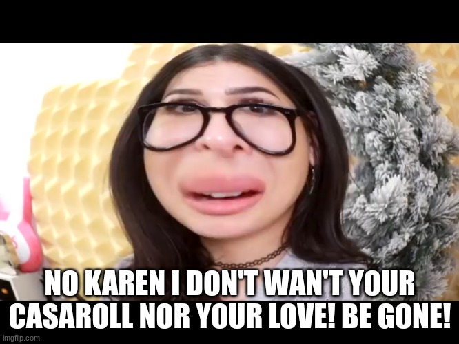 from one of SSSniperwolf video | NO KAREN I DON'T WAN'T YOUR CASAROLL NOR YOUR LOVE! BE GONE! | image tagged in sssniperwolfs big head | made w/ Imgflip meme maker