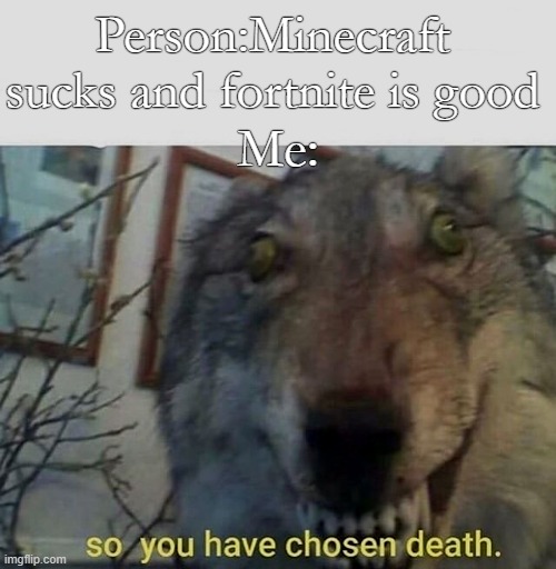 so you have chosen death | Person:Minecraft sucks and fortnite is good; Me: | image tagged in so you have chosen death | made w/ Imgflip meme maker