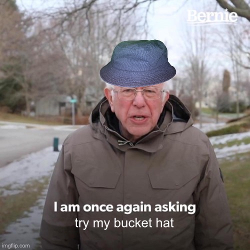 Bernie I Am Once Again Asking For Your Support Meme | try my bucket hat | image tagged in memes,bernie i am once again asking for your support | made w/ Imgflip meme maker