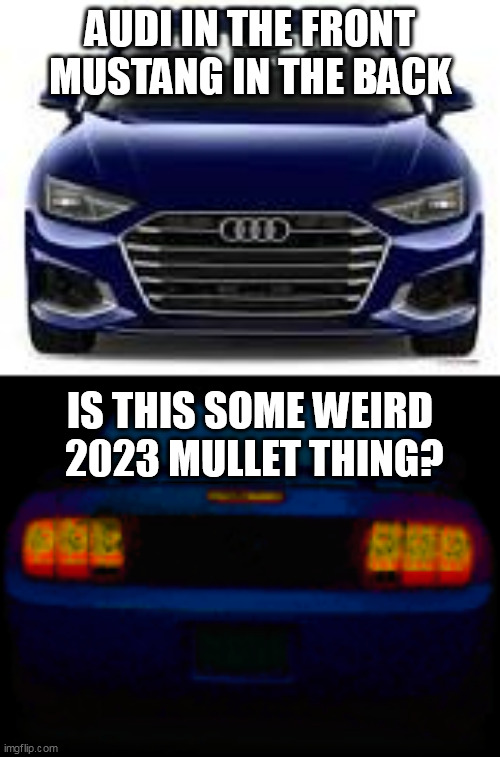 Audang? Musdi? | AUDI IN THE FRONT MUSTANG IN THE BACK; IS THIS SOME WEIRD 
2023 MULLET THING? | image tagged in daytona | made w/ Imgflip meme maker