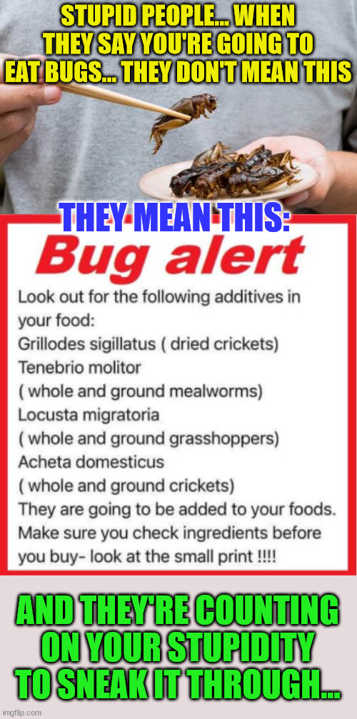 Bug Alert... | STUPID PEOPLE... WHEN THEY SAY YOU'RE GOING TO EAT BUGS... THEY DON'T MEAN THIS; THEY MEAN THIS:; AND THEY'RE COUNTING ON YOUR STUPIDITY TO SNEAK IT THROUGH... | image tagged in bugs,stupid people,nwo police state | made w/ Imgflip meme maker