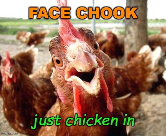 FACE CHOOK... just chicken in | FACE CHOOK; just chicken in | image tagged in chicken | made w/ Imgflip meme maker