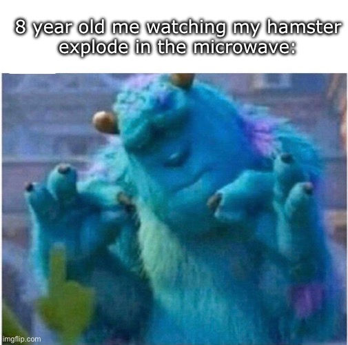 Pleased Sulley | 8 year old me watching my hamster
explode in the microwave: | image tagged in pleased sulley | made w/ Imgflip meme maker