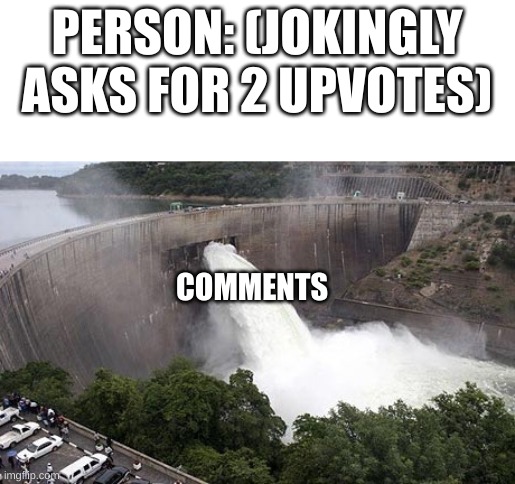 The comments just go beyond out of control | PERSON: (JOKINGLY ASKS FOR 2 UPVOTES); COMMENTS | image tagged in floodgate,true story,imgflip users,memes | made w/ Imgflip meme maker