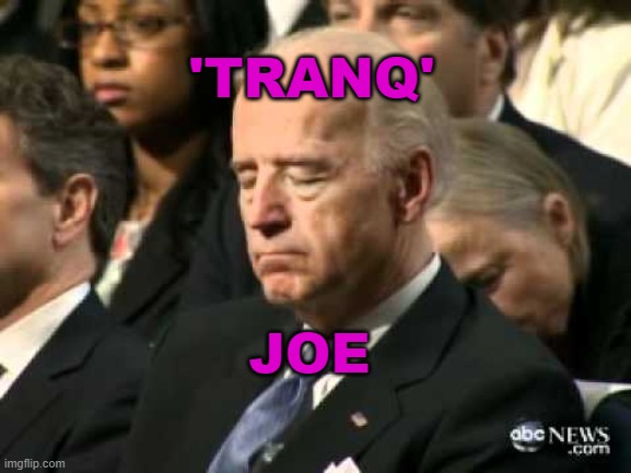 'Tranq' Joe | 'TRANQ'; JOE | image tagged in sleepy joe biden | made w/ Imgflip meme maker