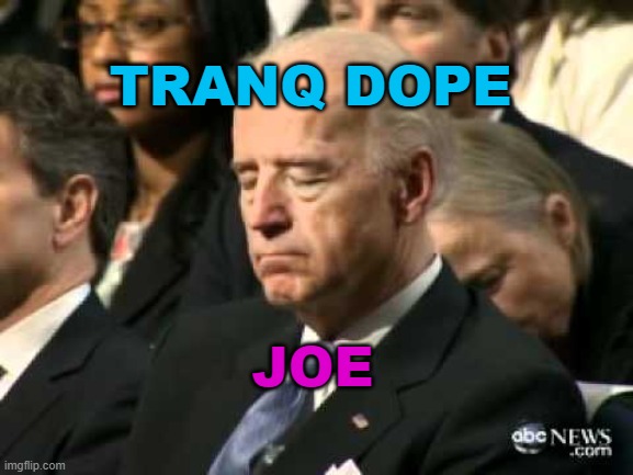 tranq dope Joe | TRANQ DOPE; JOE | image tagged in sleepy joe biden | made w/ Imgflip meme maker