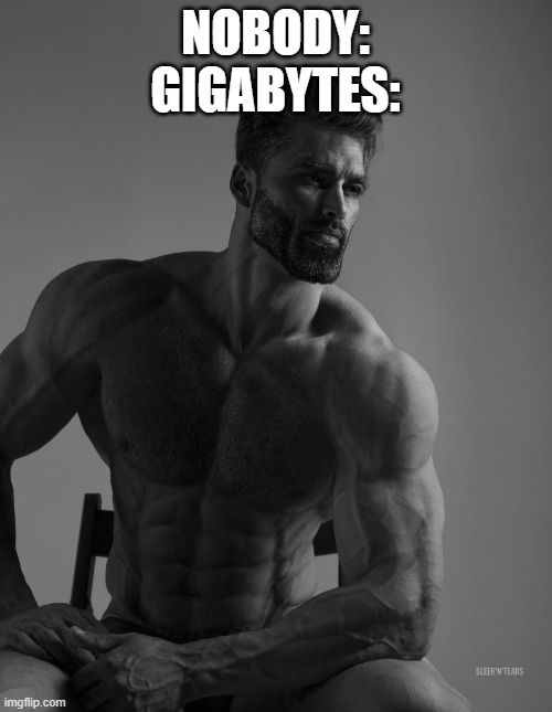 Giga Chad | NOBODY:
GIGABYTES: | image tagged in giga chad | made w/ Imgflip meme maker