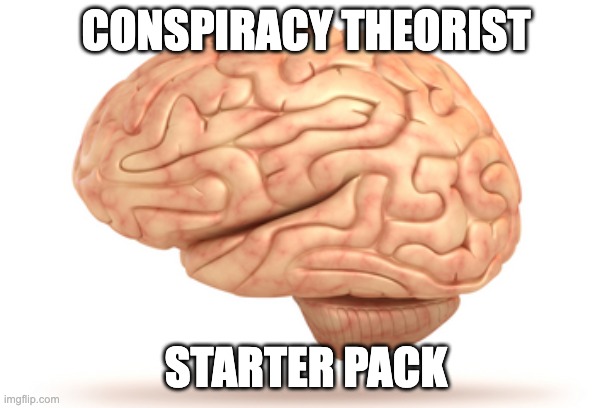 Human Brain | CONSPIRACY THEORIST; STARTER PACK | image tagged in human brain | made w/ Imgflip meme maker