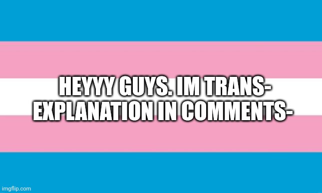 TuT | HEYYY GUYS. IM TRANS- EXPLANATION IN COMMENTS- | image tagged in transgender flag,transgender,help | made w/ Imgflip meme maker