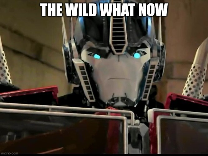 THE WILD WHAT NOW | made w/ Imgflip meme maker