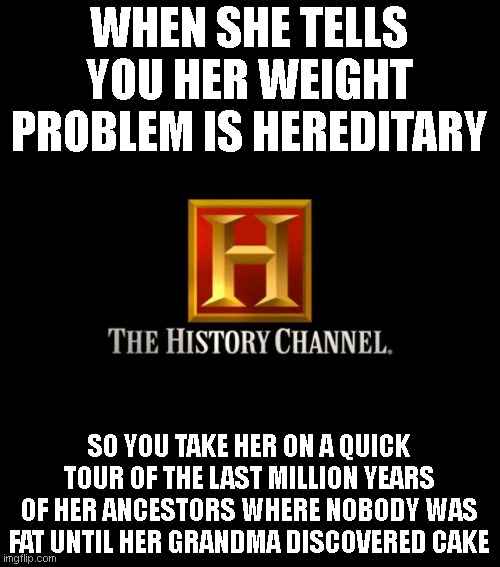 History | WHEN SHE TELLS YOU HER WEIGHT PROBLEM IS HEREDITARY; SO YOU TAKE HER ON A QUICK TOUR OF THE LAST MILLION YEARS OF HER ANCESTORS WHERE NOBODY WAS FAT UNTIL HER GRANDMA DISCOVERED CAKE | image tagged in history | made w/ Imgflip meme maker