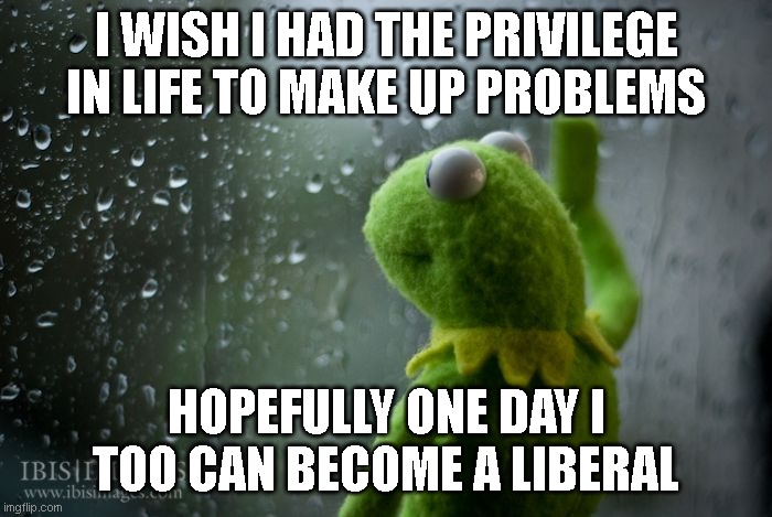 breaking news! worlds most privileged people make fake problems to fill up time | I WISH I HAD THE PRIVILEGE IN LIFE TO MAKE UP PROBLEMS; HOPEFULLY ONE DAY I TOO CAN BECOME A LIBERAL | image tagged in kermit window | made w/ Imgflip meme maker