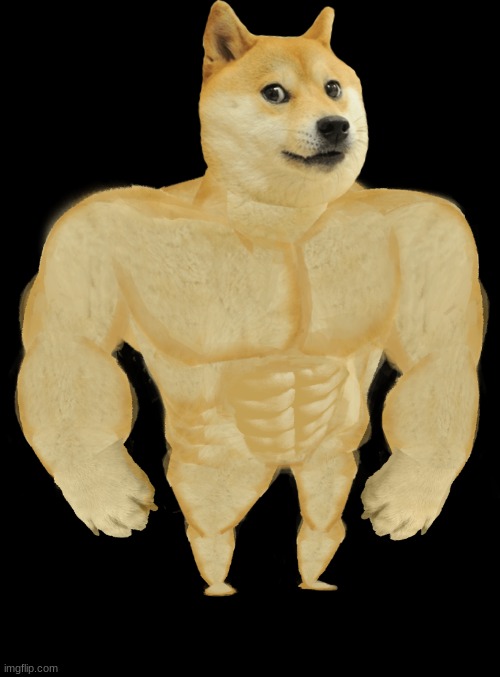 swole doge | image tagged in swole doge | made w/ Imgflip meme maker
