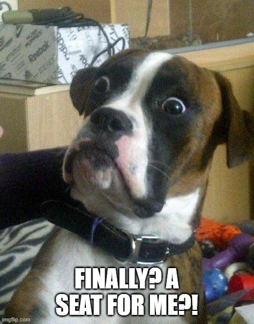 Surprised Dog | FINALLY? A SEAT FOR ME?! | image tagged in surprised dog | made w/ Imgflip meme maker