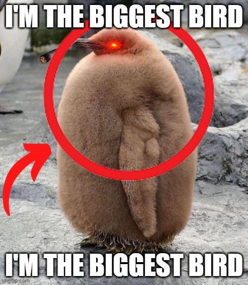 The biggest bird | I'M THE BIGGEST BIRD; I'M THE BIGGEST BIRD | image tagged in fat | made w/ Imgflip meme maker