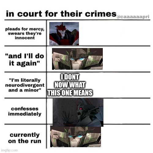 in court for their crimes alingement chart | I DONT NOW WHAT THIS ONE MEANS | image tagged in in court for their crimes alingement chart | made w/ Imgflip meme maker