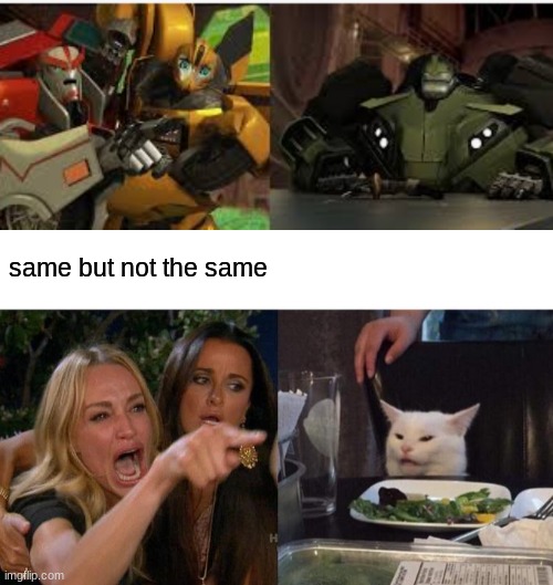 same but not the same | image tagged in memes,woman yelling at cat | made w/ Imgflip meme maker