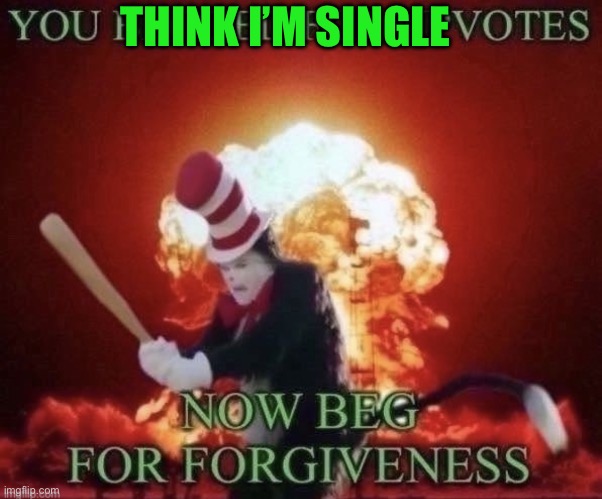 Beg for forgiveness | THINK I’M SINGLE | image tagged in beg for forgiveness | made w/ Imgflip meme maker