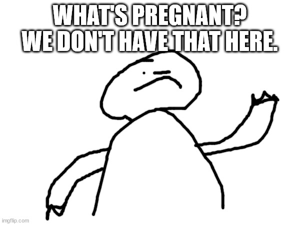 Story ruiner when Omletta | WHAT'S PREGNANT? WE DON'T HAVE THAT HERE. | made w/ Imgflip meme maker