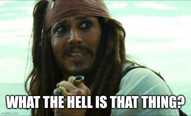 JACK SPARROW CRINGE | WHAT THE HELL IS THAT THING? | image tagged in jack sparrow cringe | made w/ Imgflip meme maker