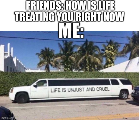 true | FRIENDS: HOW IS LIFE TREATING YOU RIGHT NOW; ME: | image tagged in memes,blank transparent square,fun,meem,fonnay | made w/ Imgflip meme maker