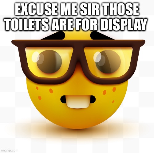Nerd emoji | EXCUSE ME SIR THOSE TOILETS ARE FOR DISPLAY | image tagged in nerd emoji | made w/ Imgflip meme maker