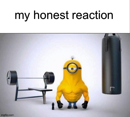 gigachad minion reaction | my honest reaction | image tagged in white bar | made w/ Imgflip meme maker