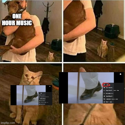 Just right click and click on "loop" | ONE HOUR MUSIC | image tagged in sad cat holding dog,memes,goofy ahh | made w/ Imgflip meme maker