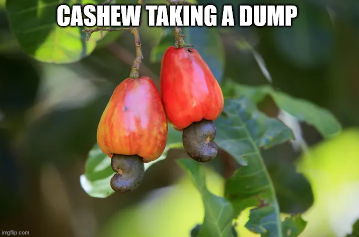 Strange Fruit | CASHEW TAKING A DUMP | image tagged in cashews,poop | made w/ Imgflip meme maker