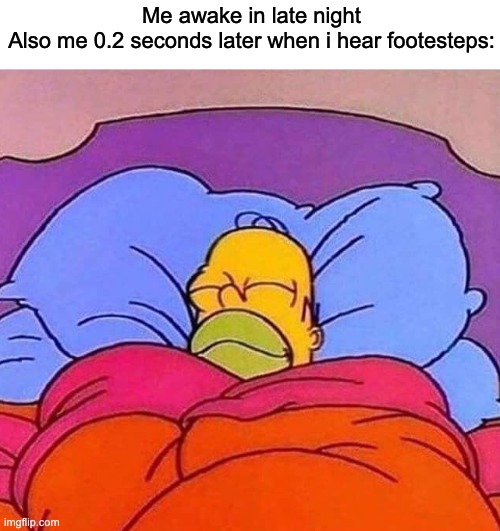sleep | Me awake in late night

Also me 0.2 seconds later when i hear footesteps: | image tagged in homer simpson sleeping peacefully | made w/ Imgflip meme maker