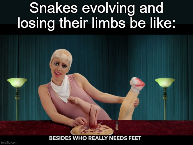 Snakes evolving and losing their limbs be like: | image tagged in memes,animals,evolution,zoology memes,snakes | made w/ Imgflip meme maker