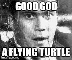 GOOD GOD A FLYING TURTLE | made w/ Imgflip meme maker
