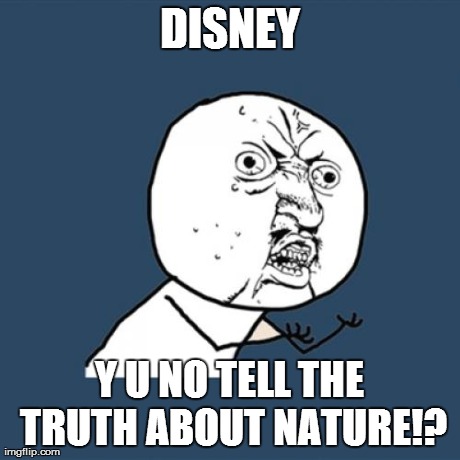 Y U No Meme | DISNEY Y U NO TELL THE TRUTH ABOUT NATURE!? | image tagged in memes,y u no | made w/ Imgflip meme maker