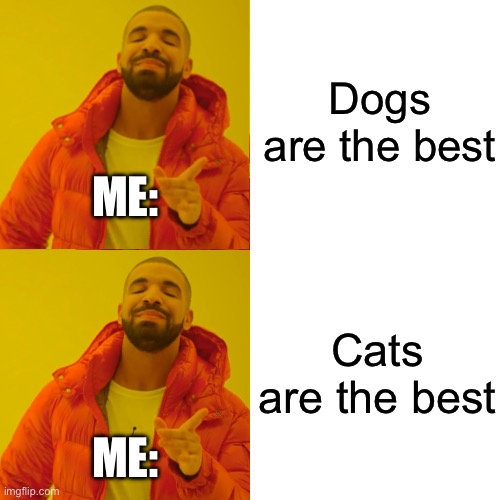 Animals are the best | Dogs are the best; ME:; Cats are the best; ME: | image tagged in memes,drake hotline bling | made w/ Imgflip meme maker