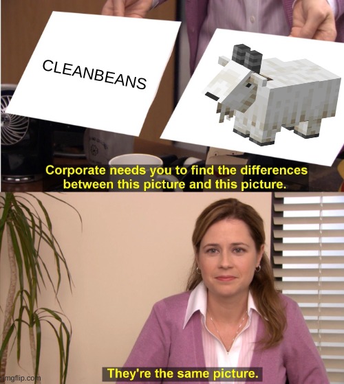 supporting CLEANBEANS #2 | CLEANBEANS | image tagged in memes,they're the same picture | made w/ Imgflip meme maker