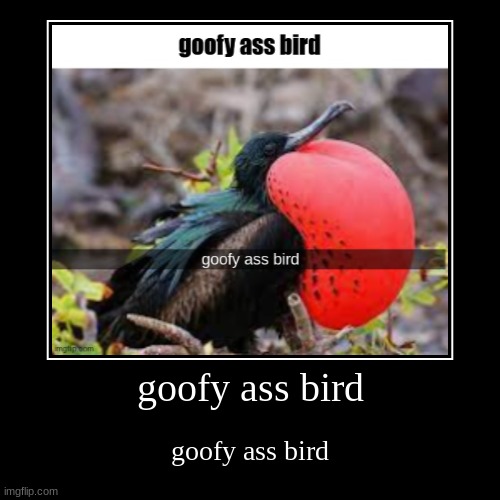 Biggest flex fs that my bird can de the goofy ahh* sound effect - iFunny
