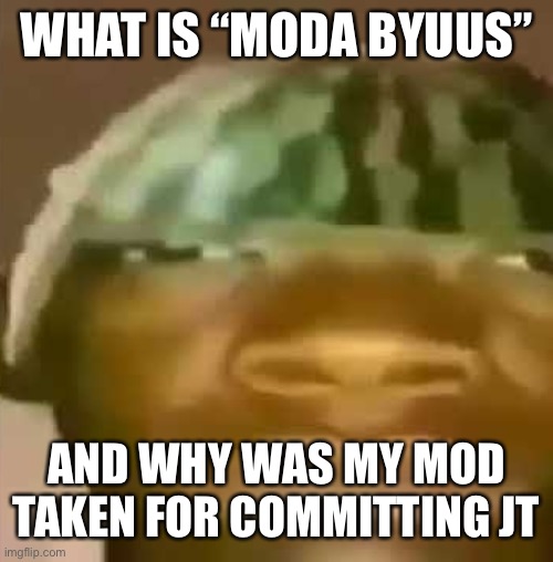 shitpost | WHAT IS “MODA BYUUS”; AND WHY WAS MY MOD TAKEN FOR COMMITTING IT | image tagged in shitpost | made w/ Imgflip meme maker
