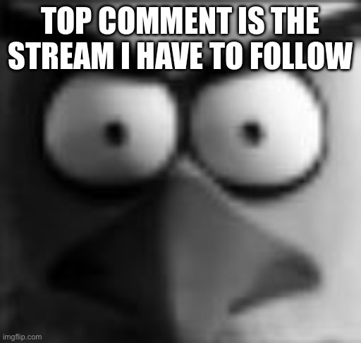 chuckposting | TOP COMMENT IS THE STREAM I HAVE TO FOLLOW | image tagged in chuckposting | made w/ Imgflip meme maker