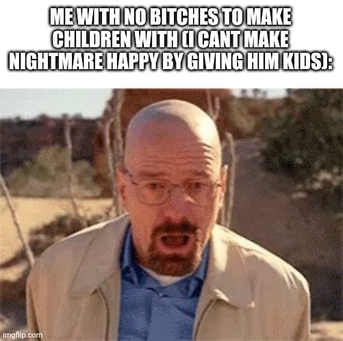 Walter White | ME WITH NO BITCHES TO MAKE CHILDREN WITH (I CANT MAKE NIGHTMARE HAPPY BY GIVING HIM KIDS): | image tagged in walter white | made w/ Imgflip meme maker