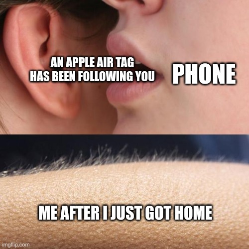 Whisper and Goosebumps | PHONE; AN APPLE AIR TAG HAS BEEN FOLLOWING YOU; ME AFTER I JUST GOT HOME | image tagged in whisper and goosebumps | made w/ Imgflip meme maker