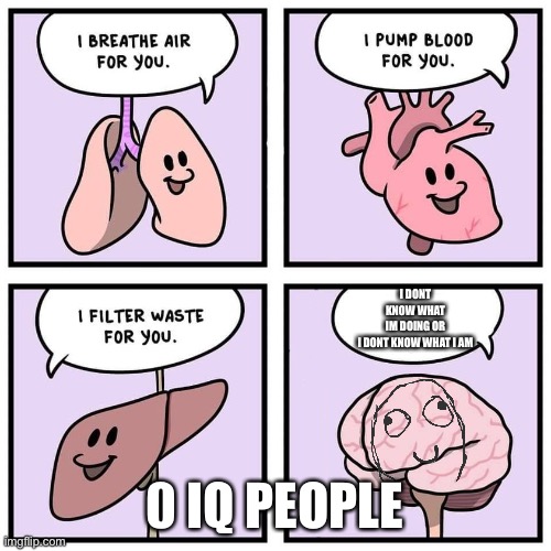 organs and brain | I DONT KNOW WHAT IM DOING OR I DONT KNOW WHAT I AM; 0 IQ PEOPLE | image tagged in organs and brain | made w/ Imgflip meme maker