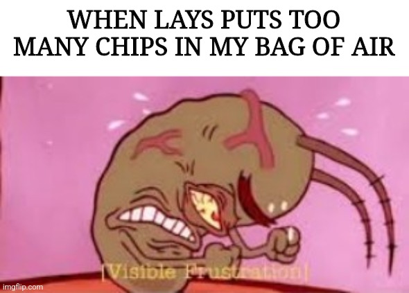 Visible Frustration | WHEN LAYS PUTS TOO MANY CHIPS IN MY BAG OF AIR | image tagged in visible frustration,lays chips,chips,spongebob | made w/ Imgflip meme maker