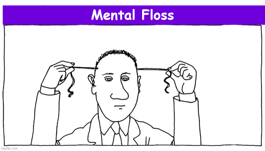 Mental Floss | image tagged in mental floss,dental floss,empty headed,flossing,funny,memes | made w/ Imgflip meme maker