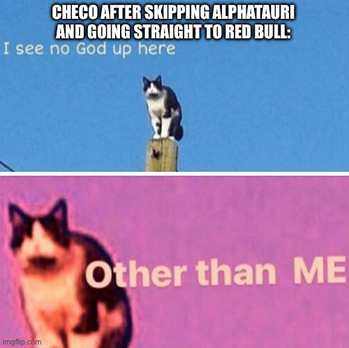 Hail pole cat | CHECO AFTER SKIPPING ALPHATAURI AND GOING STRAIGHT TO RED BULL: | image tagged in hail pole cat | made w/ Imgflip meme maker