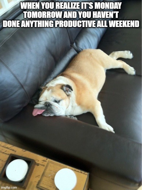 Bulldog sleeping on couch | WHEN YOU REALIZE IT'S MONDAY TOMORROW AND YOU HAVEN'T DONE ANYTHING PRODUCTIVE ALL WEEKEND | image tagged in bulldog sleeping on couch | made w/ Imgflip meme maker