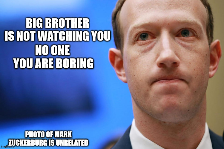 Zuckerberg | BIG BROTHER IS NOT WATCHING YOU; NO ONE 
YOU ARE BORING; PHOTO OF MARK ZUCKERBURG IS UNRELATED | image tagged in zuckerberg | made w/ Imgflip meme maker