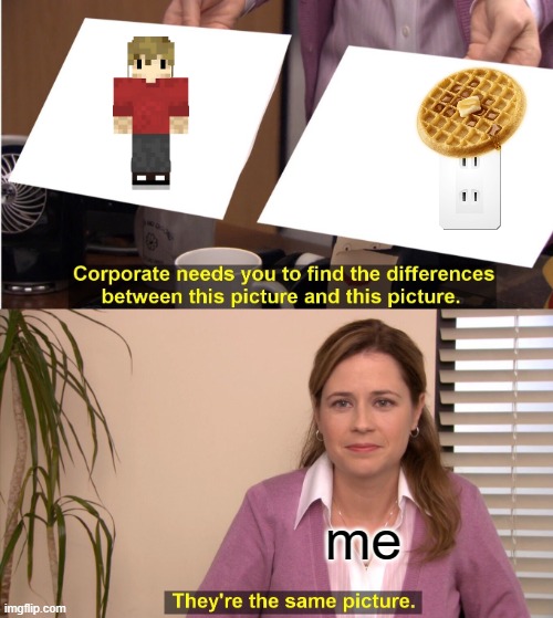 Grian's avatar is just a "type A" electrical outlet with waffle hair. | me | image tagged in memes,they're the same picture,hermitcraft,minecraft,grian,funny | made w/ Imgflip meme maker
