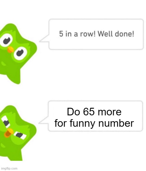 Duolingo 5 in a row | Do 65 more for funny number | image tagged in duolingo 5 in a row | made w/ Imgflip meme maker